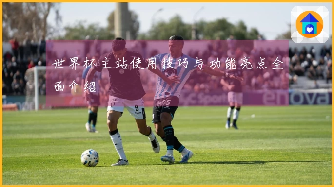 世界杯主站使用技巧与功能亮点全面介绍