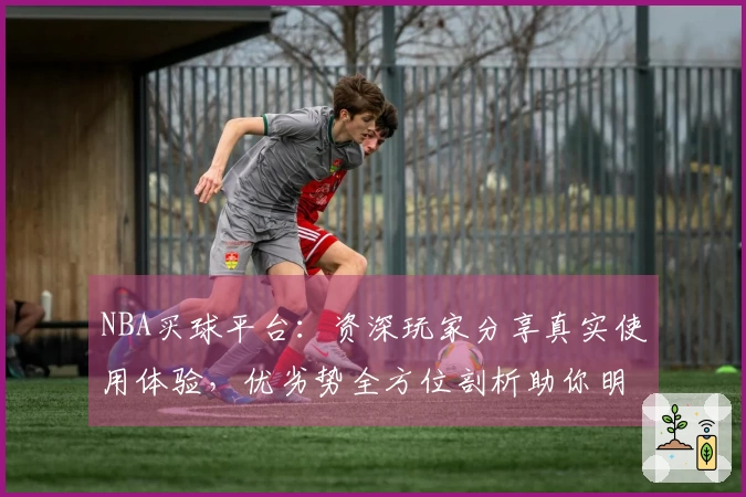 NBA买球平台：资深玩家分享真实使用体验，优劣势全方位剖析助你明智选择