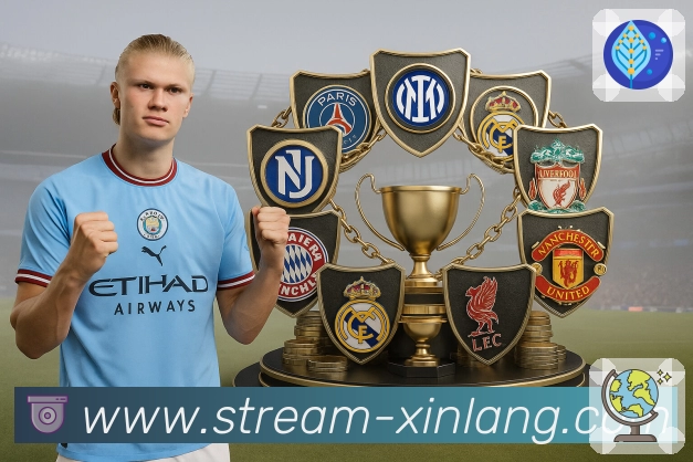 <strong>新浪体育</strong>数据追踪面板截图